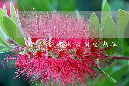 劳动合同法 固定期限 劳动合同法 固定期限